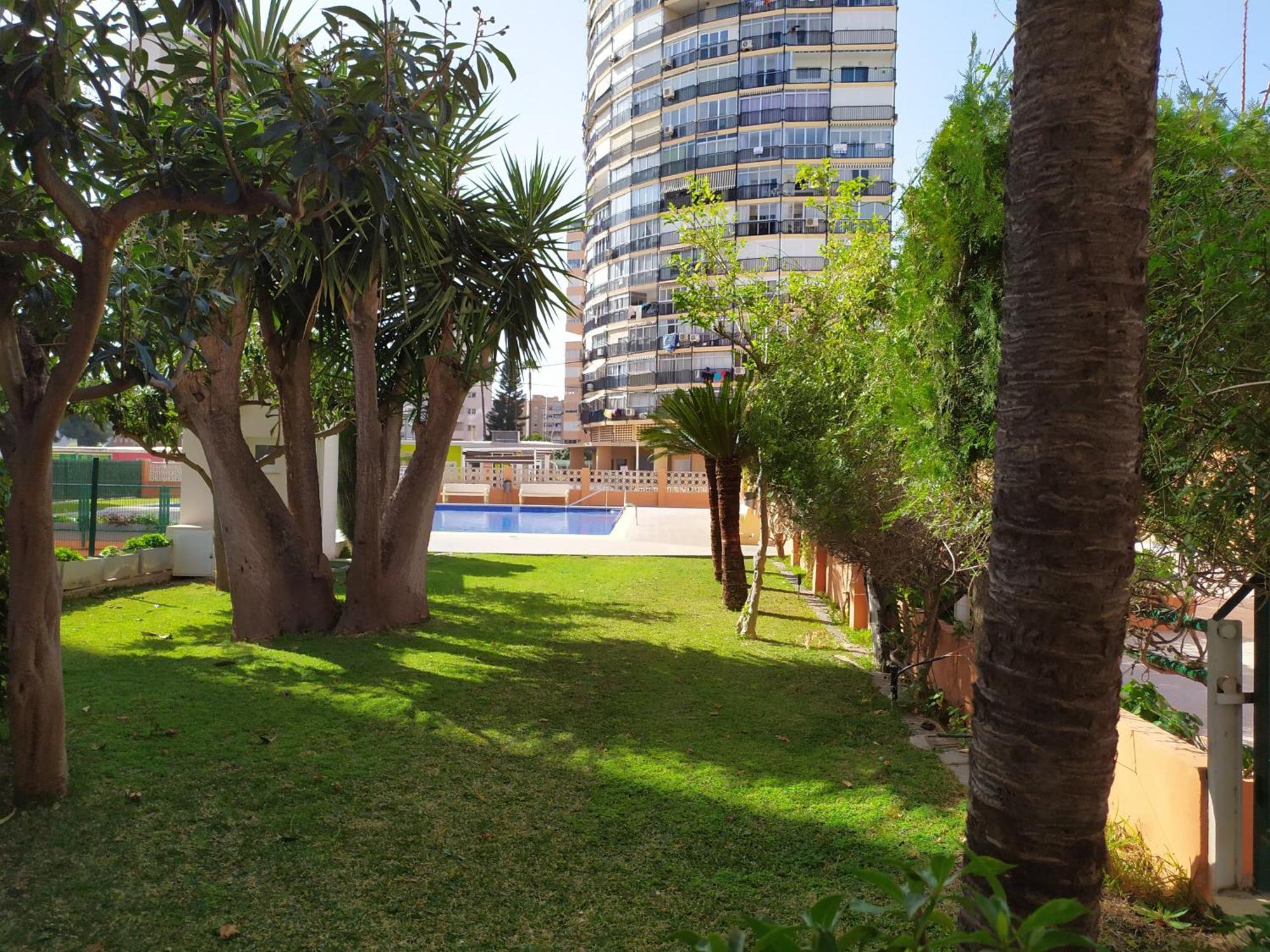 Estudio Reformado Y Centrico Con Piscina Y Wifi Acepta Mascotas Benidorm Eksteriør bilde
